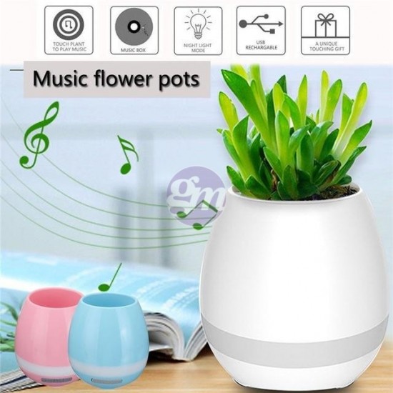 Musical Flower Pot