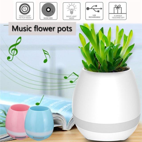 Musical Flower Pot